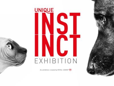 Unique Instinct | AKC Museum of The Dog | Nov 15 - Feb 04